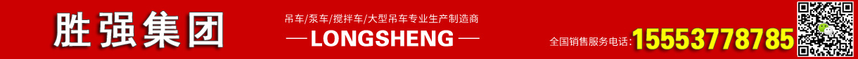 山东胜强吊车有限公司